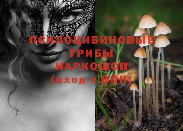 a pvp Верхнеуральск