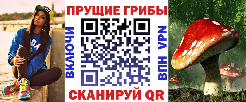 Галлюциногенные грибы GOLDEN TEACHER  как найти   Злынка 